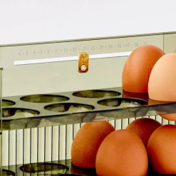 Acrylic Kitchen Egg Holder