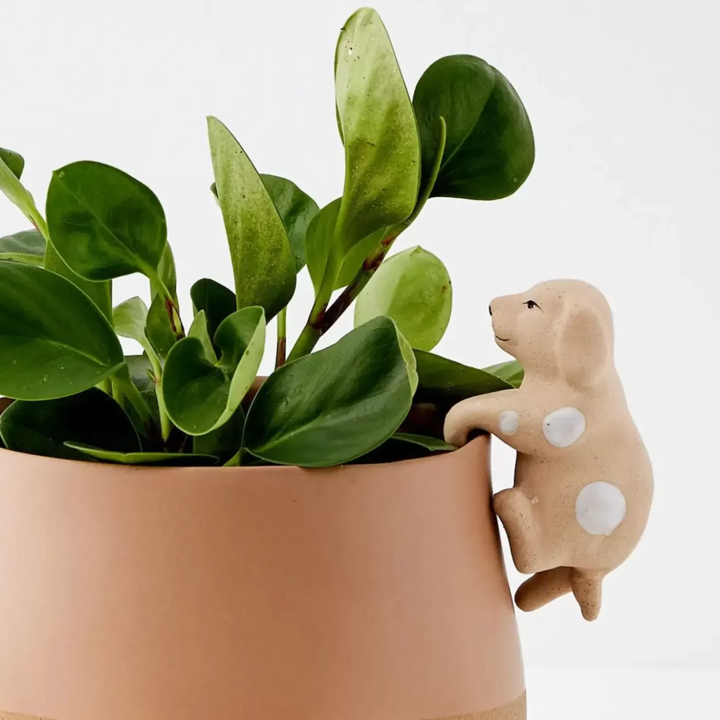 Barking Barry Ceramic Pot Hanger