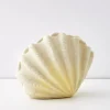 Conch Shell Resin Outdoor Lamp