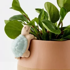 Timmy Turtle Ceramic Pot Hanger