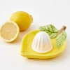 Zesty Ceramic Citrus Juicer