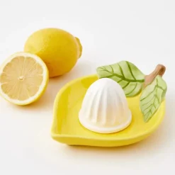 Zesty Ceramic Citrus Juicer